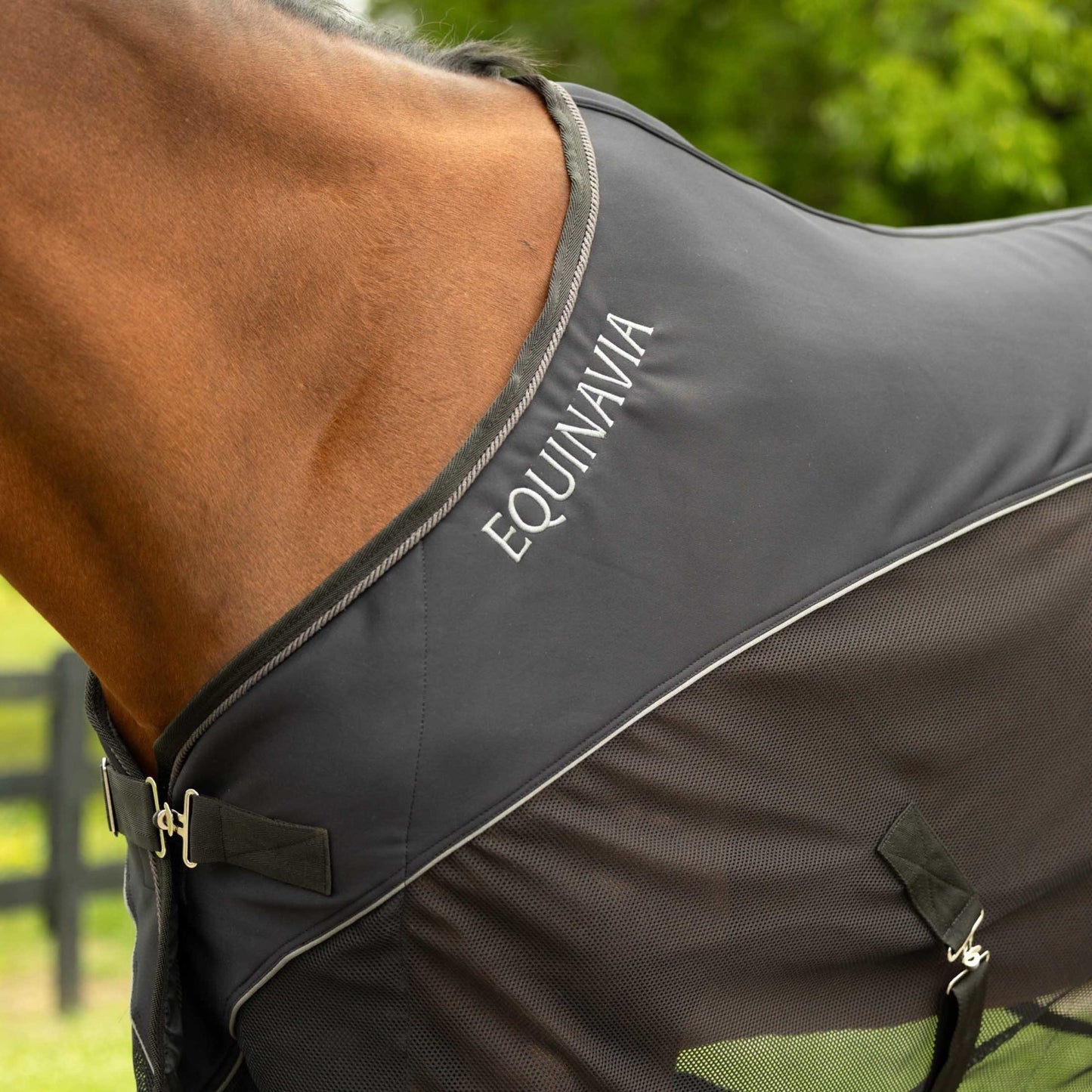 Equinavia Sommer NordicAir™ Stable Sheet