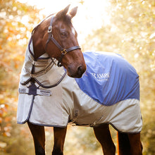 Load image into Gallery viewer, Horseware Autumn Series