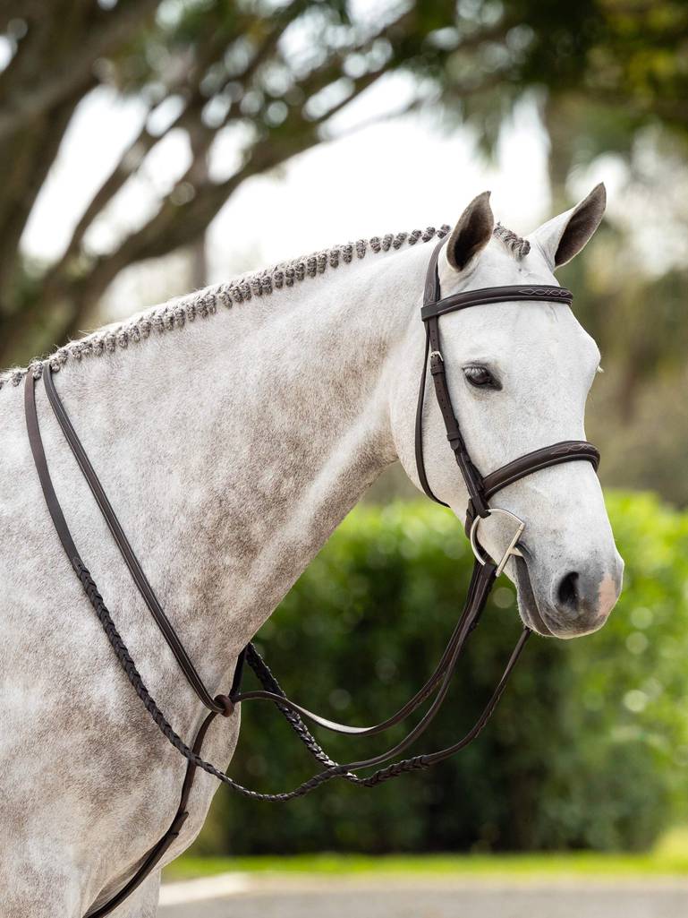 LeMieux Stitched Hunter Bridle