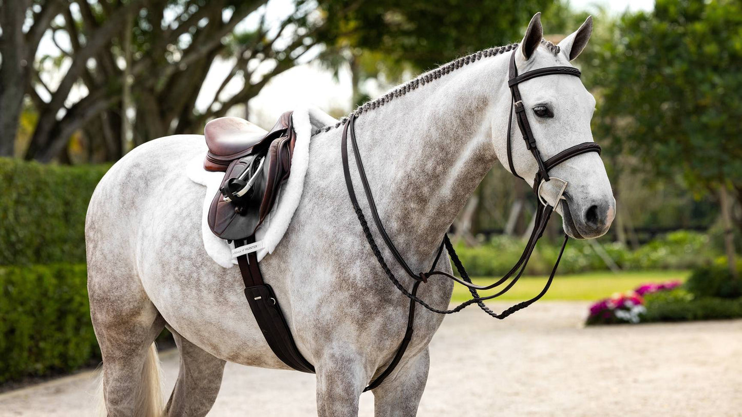 LeMieux Merino+ ProSorb Hunter Saddle Pad