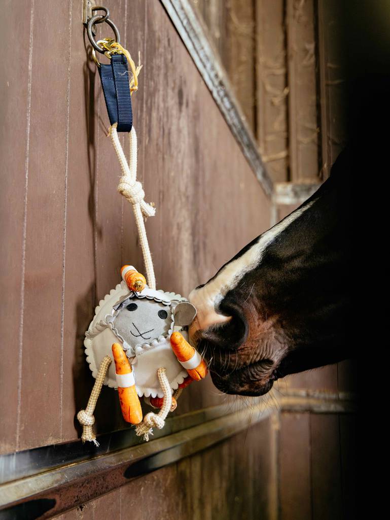 LeMieux Horse Toy