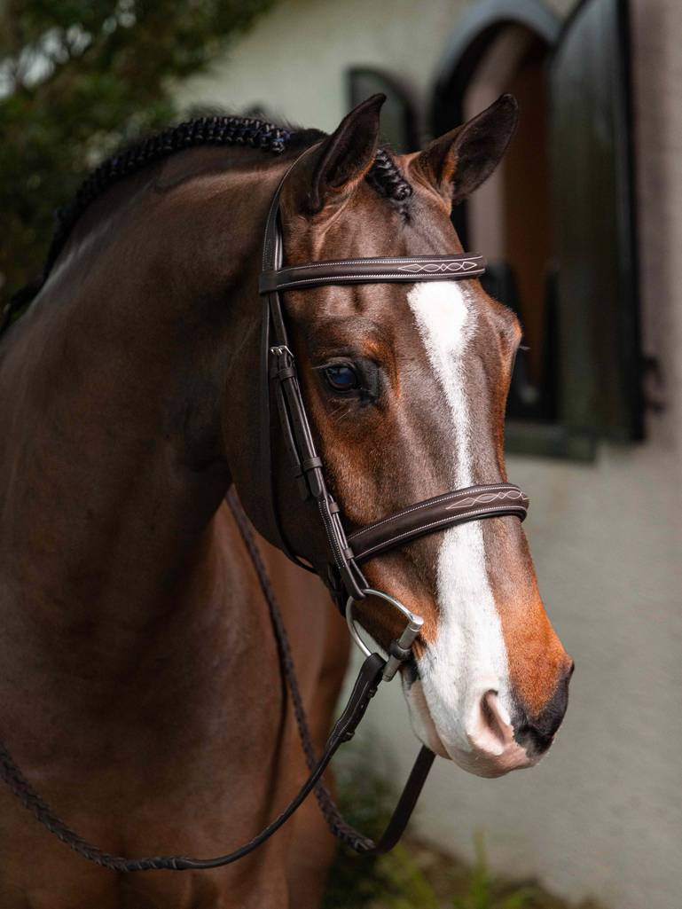 LeMieux Stitched Hunter Bridle