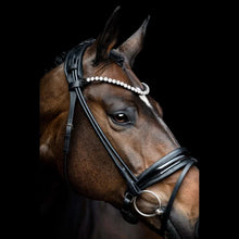 Load image into Gallery viewer, SD Designs Zhivago Rolled Bridle