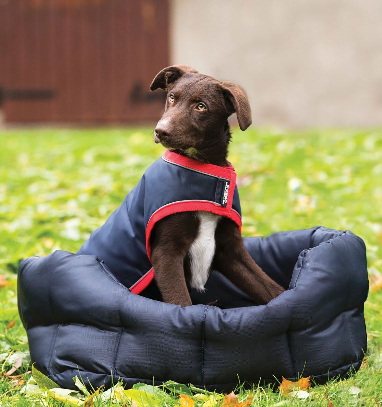 Horseware Rambo Waterproof Dog Rug 100g