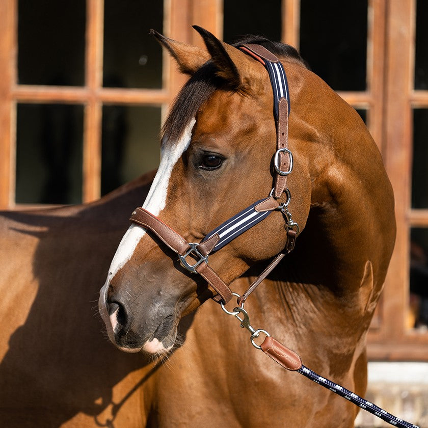 Antares Stressless Halter