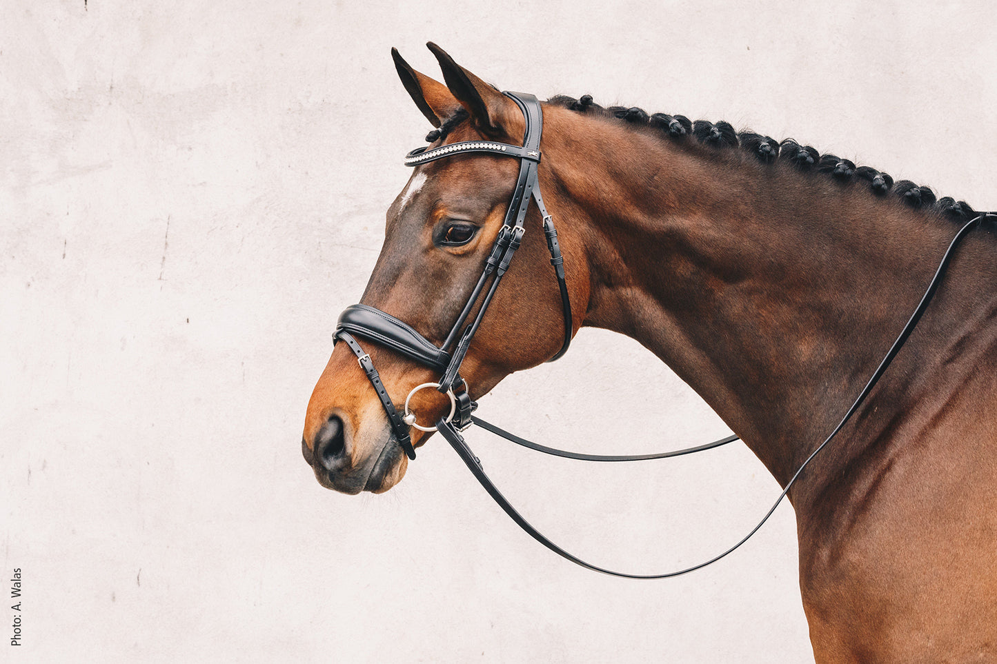 Schockemohle Anatomical Malibu Dressage Bridle