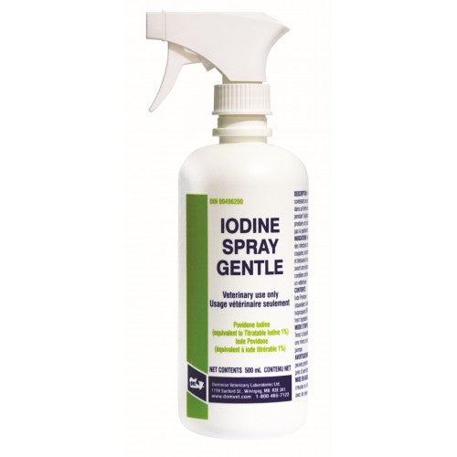 Dominion Iodine Spray