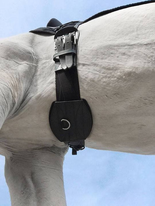 Tapestry Dressage/Monoflap Comfort Girth