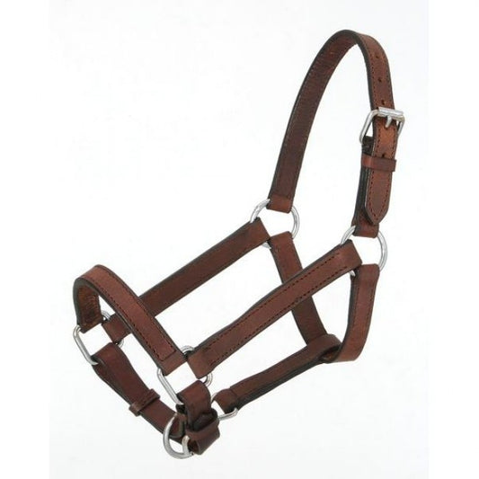 JT Mini Halter