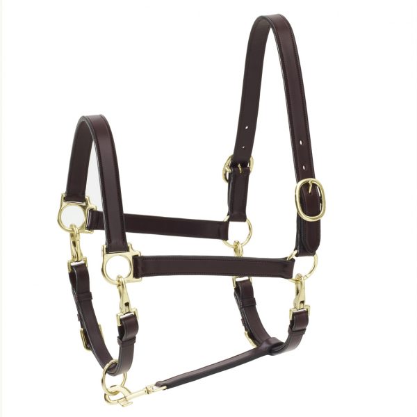 Ovation Elite 4-Way Grooming Halter