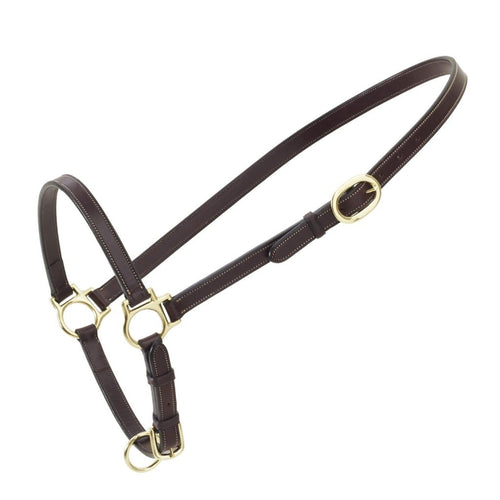 Ovation Leather Grooming Halter
