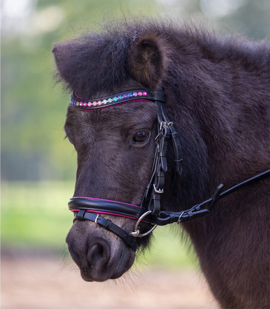 Waldhausen Pinky Star Bridle