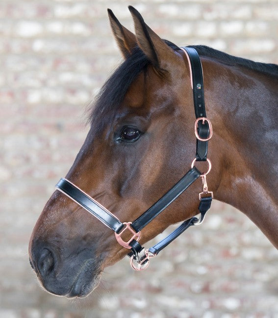 Waldhausen Rose Gold Leather Halter