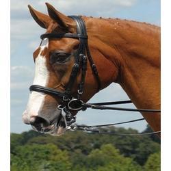 Aramas Double Raised Dressage Bridle With Reins