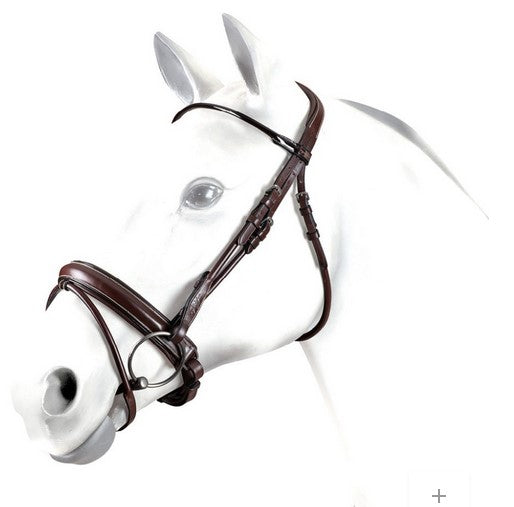 Equipe Dressage Bridle 57