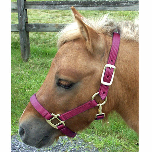 Mini Nylon Halter