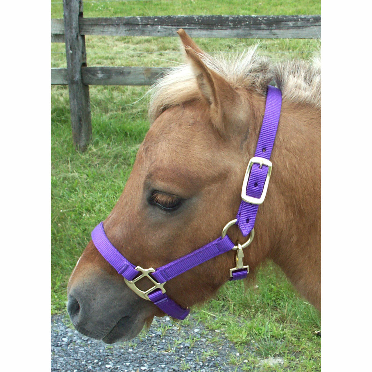 Mini Nylon Halter