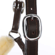Load image into Gallery viewer, Kaval Ivy Lambswool Leather Halter