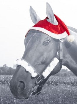 Santa Horse Hat