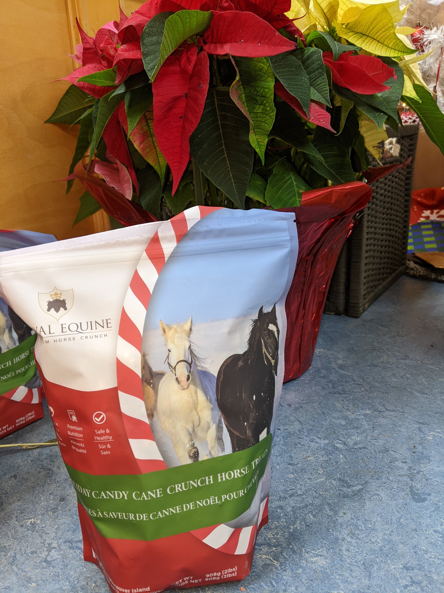 Royal Equine Horse Treats