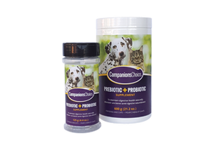 Companions Choice Prebiotic and Probiotic Supplement