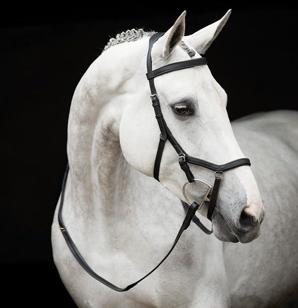 Horseware Micklem Competiton Bridle with Rubber Reins