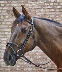 Waldhausen STAR Basic Hunter Bridle