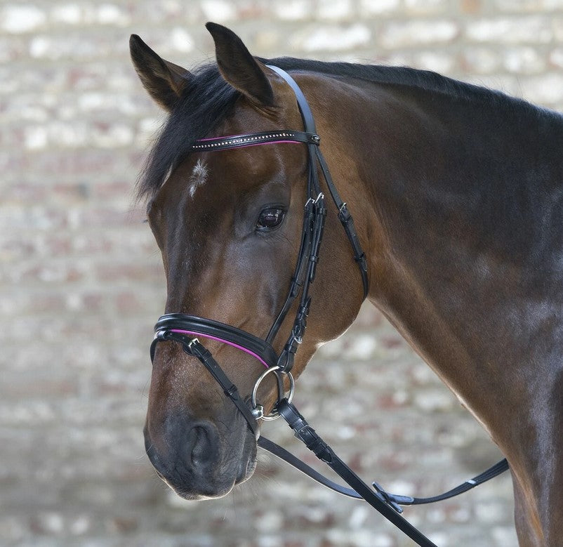 Waldhausen Star Diamond Bridle