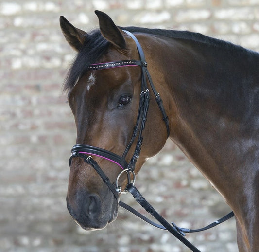 Waldhausen Star Diamond Bridle