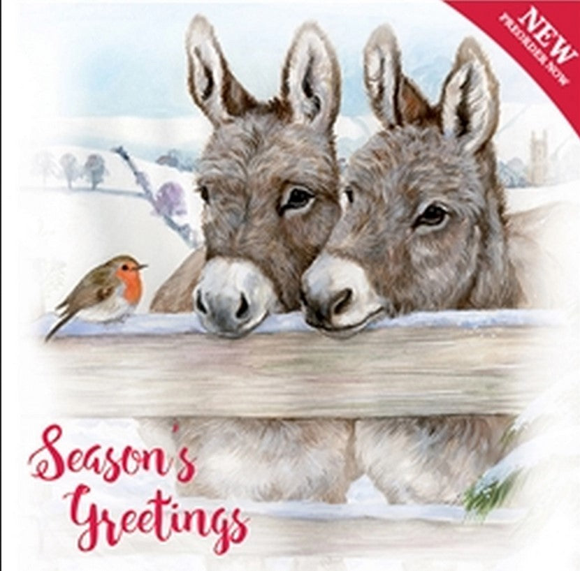 Christmas Cards 10 Pack Charity Cards