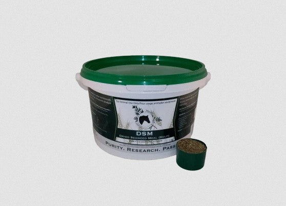 Herbs for Horses DSM Pure Dried Seaweed Meal