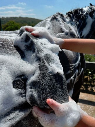 Hairy Pony Compresed Scrubbing Sponge