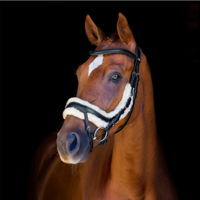 Schockemohle Equitus Zeta Bridle