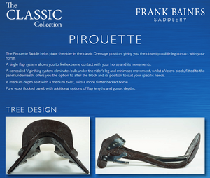 Frank Baines Pirouette Dressage