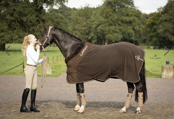 LeMieux Fleece Rug