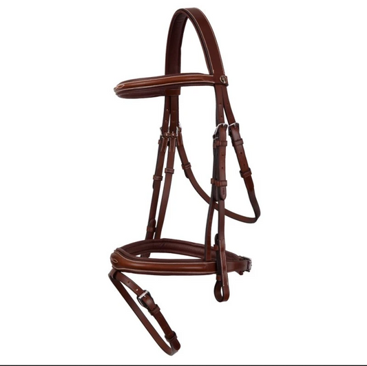 BR Cheltenham Bridle