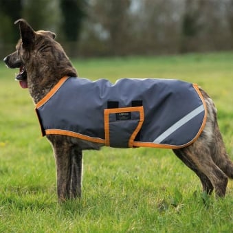 Horseware Amigo Waterproof Dog Blanket