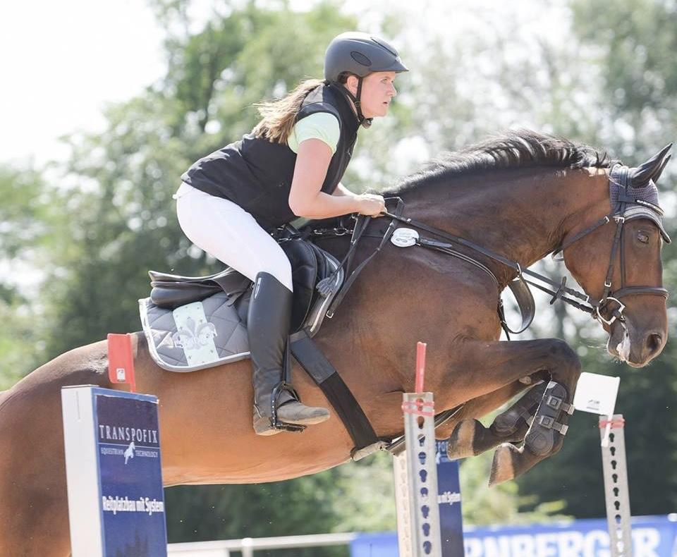 Tapestry Jump English Comfort Girth