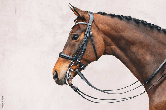 Schockemohle Gamma Double Bridle