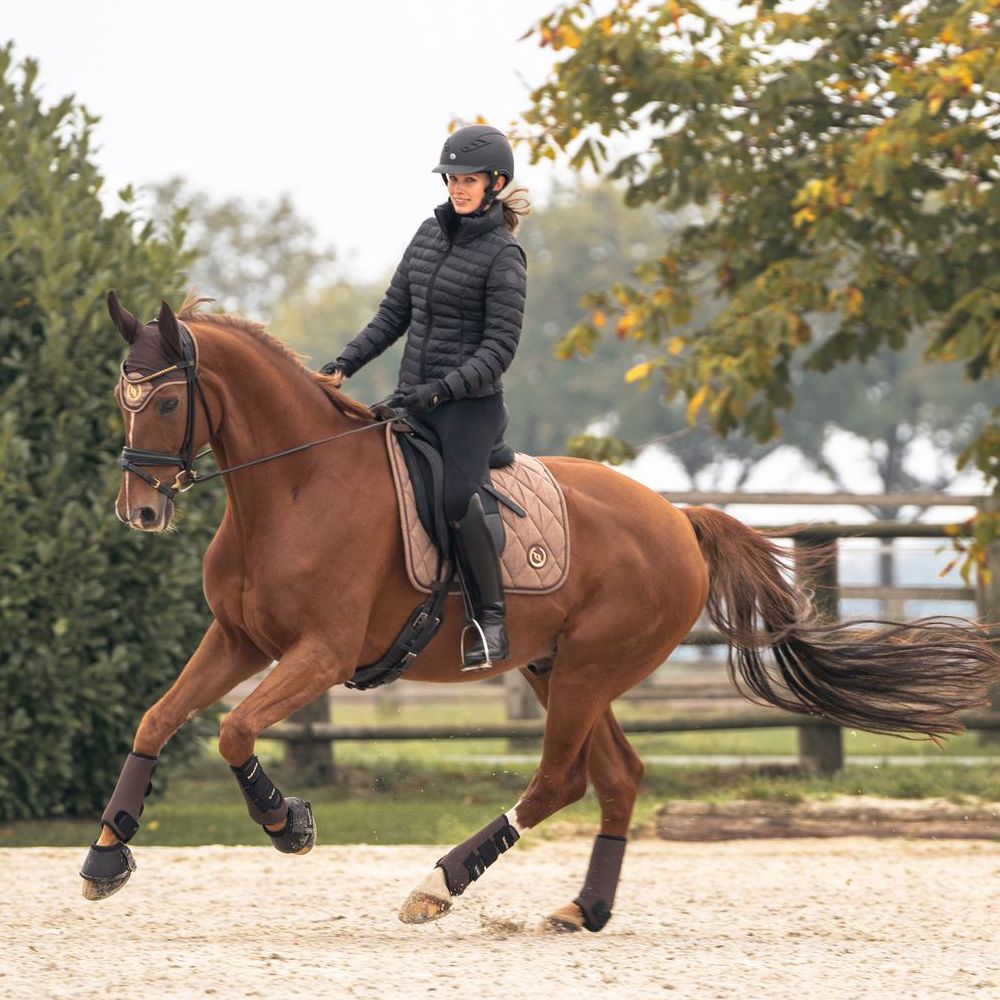 Back on Track Haze Collection Saddle Pad