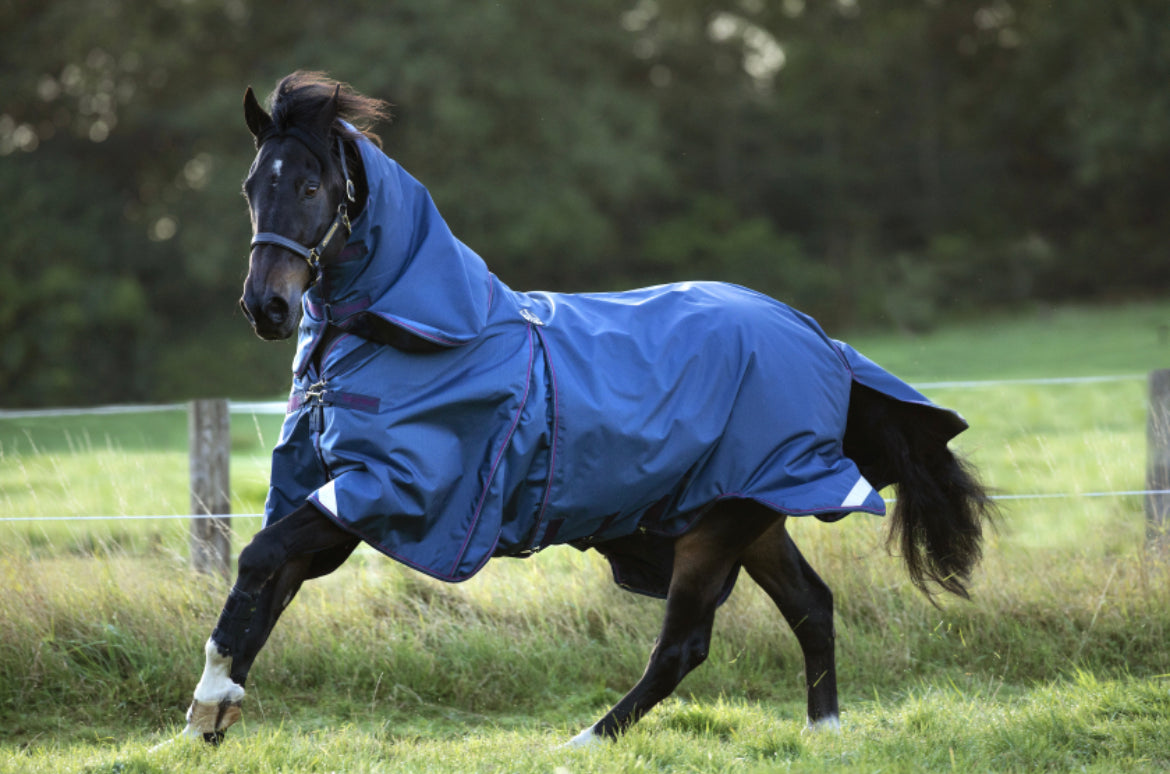 Horseware Rambo Optimo Plus Turnout Bundle