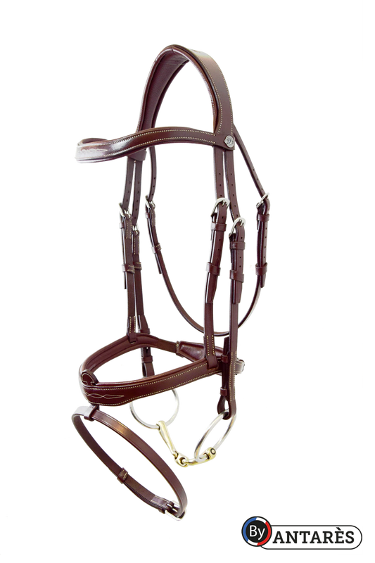 Antares Signature Flash Noseband Bridle