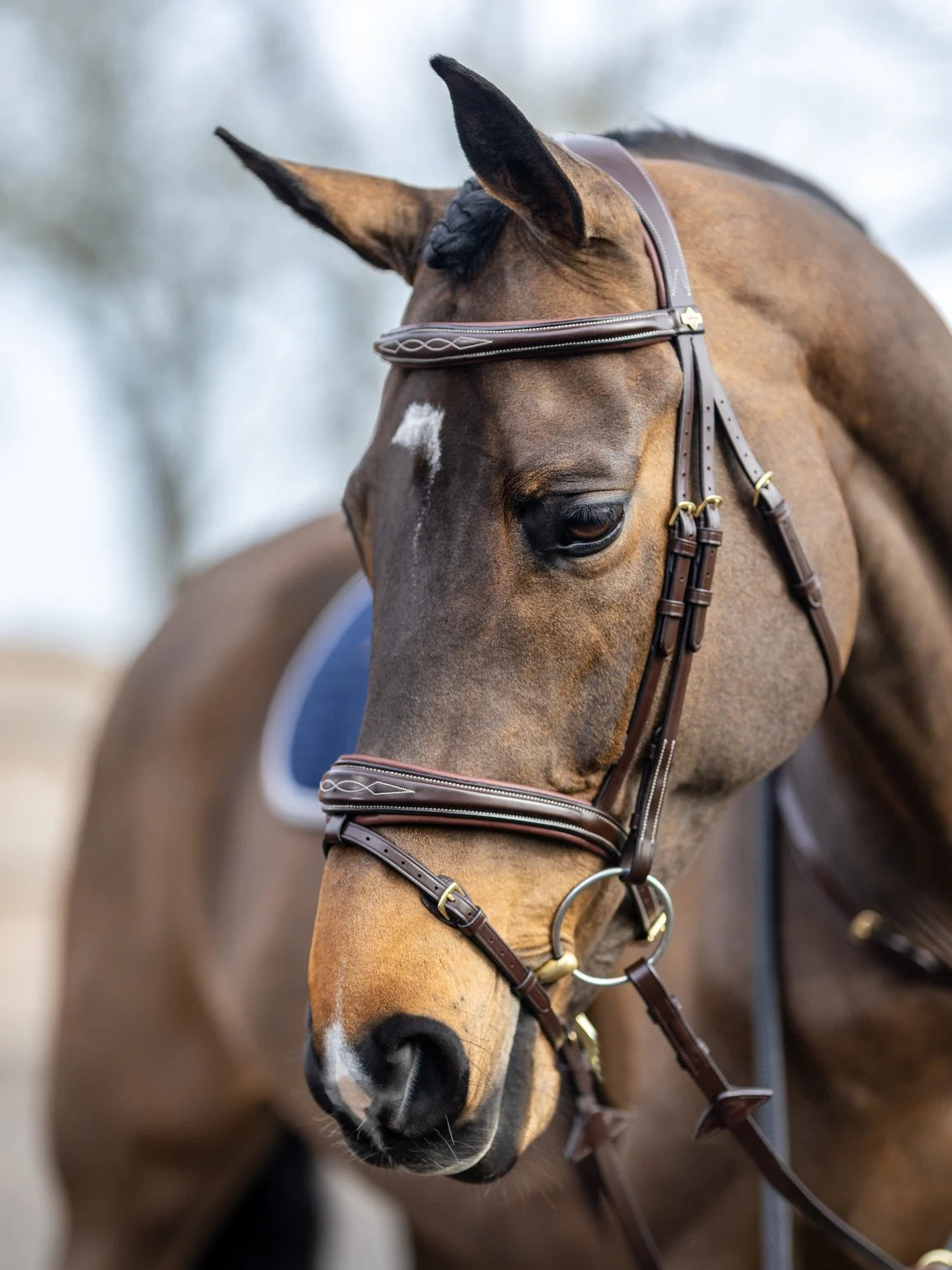 LeMieux Competition Flash Bridle