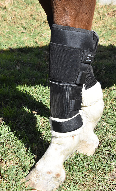 Knee Shield