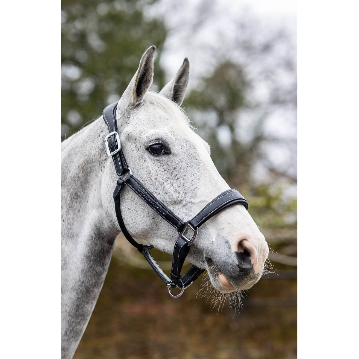 LeMieux Fancy Stitch Halter