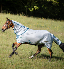 Load image into Gallery viewer, Horseware AmEco Bug Rug