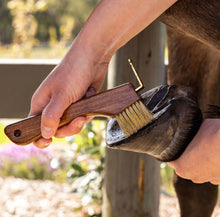 Load image into Gallery viewer, Hairy Pony Copper Bristle Hoof Pick