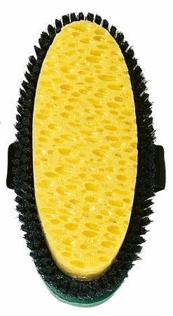 HAAS Kombi Sponge Brush