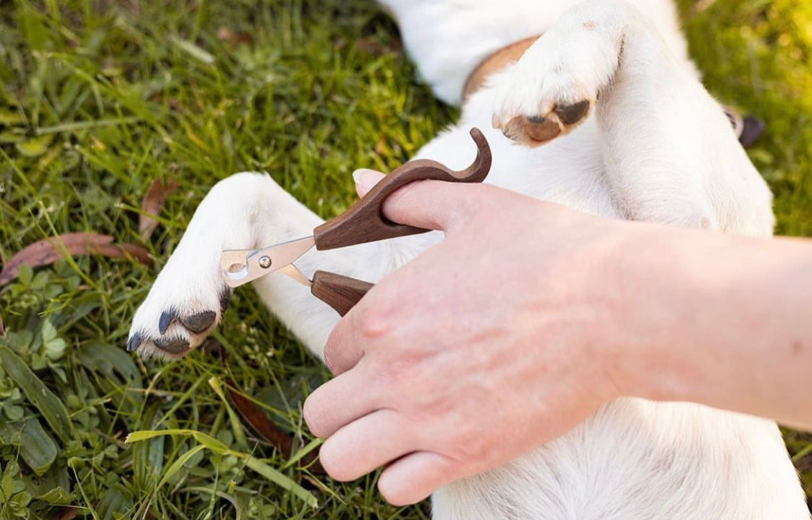 Hairy Pony Pooch Pamper Kit