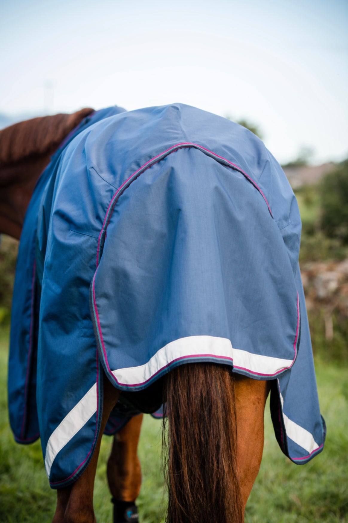 Horseware Rambo Optimo Plus Turnout Bundle